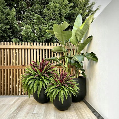 💥Summer Special🔥 UV-Resistant Artificial Fern & Red Dracaena Decorative Plants – Full, Lush  & Fade-Resistant!