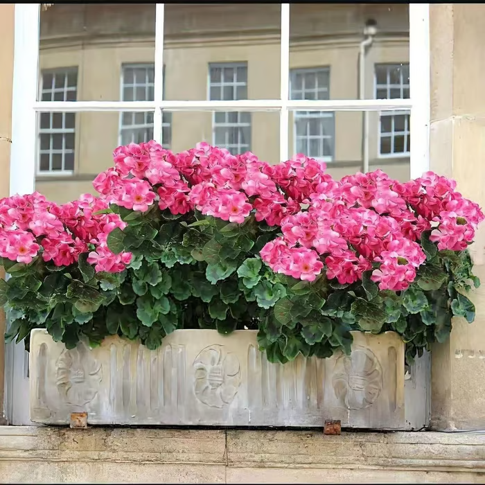 🌸 LAST DAY 60%OFF🌸 Bundles Artificial Geranium Flowers For Outdoors Geranium Flowers Outdoor Artificial Flowers UV Resistant Garden Plants Faux Flowers For Home Kitchen Table Centerpieces Patio Decor