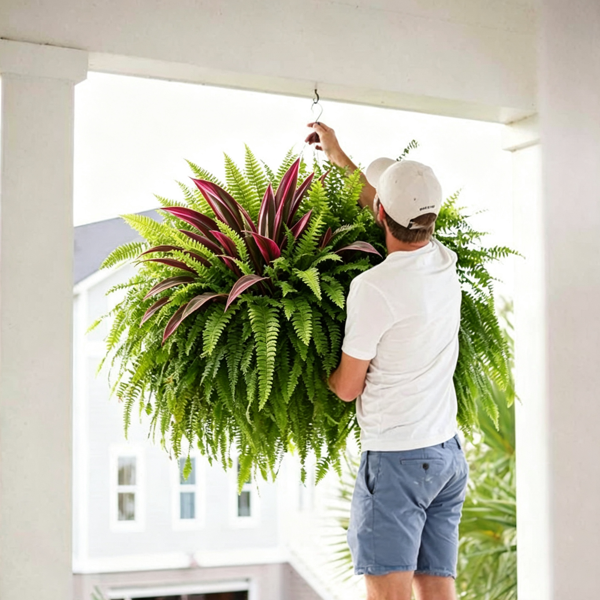 💥Summer Special🔥 UV-Resistant Artificial Fern & Red Dracaena Decorative Plants – Full, Lush  & Fade-Resistant!