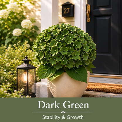 🔥Last Day 50% OFF🔥Artificial Hydrangea Flowers -No maintenance required, blooms all year round