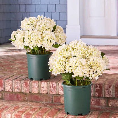 💥Last Day 50% OFF💐Artificial Outdoor Hydrangea Flowers - UV resistant, Waterproof, Windproof