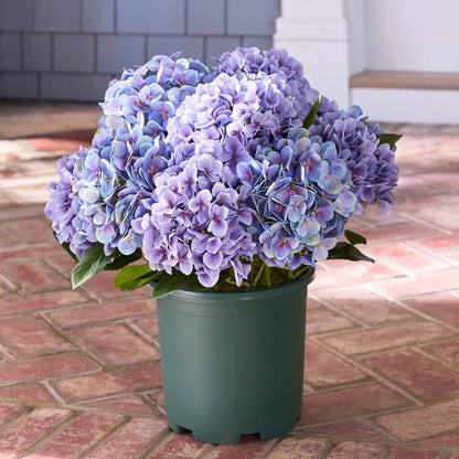 💥Last Day 50% OFF💐Artificial Outdoor Hydrangea Flowers - UV resistant, Waterproof, Windproof